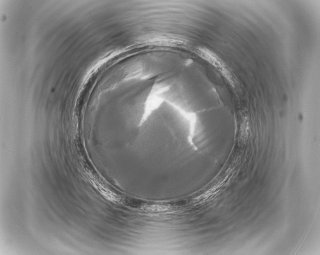 X0000087631027200705181455