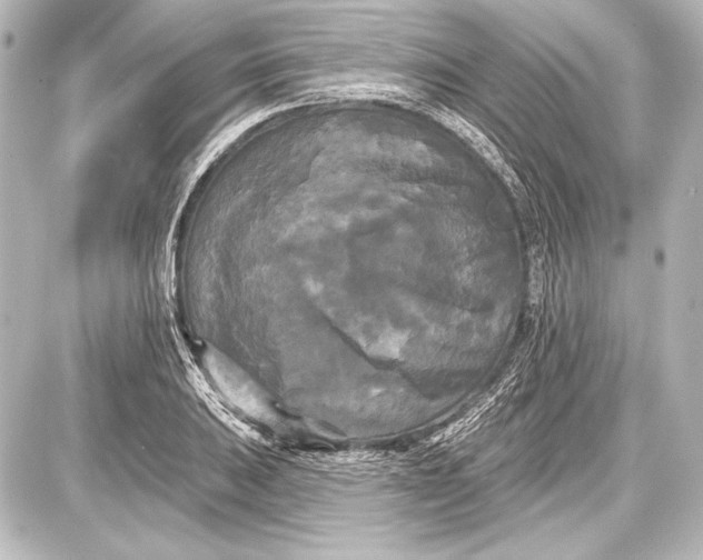 X0000087631031200705181455