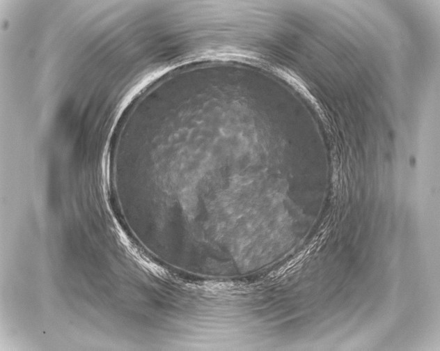 X0000087631032200705181455