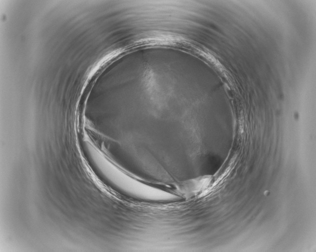 X0000087631034200705181455