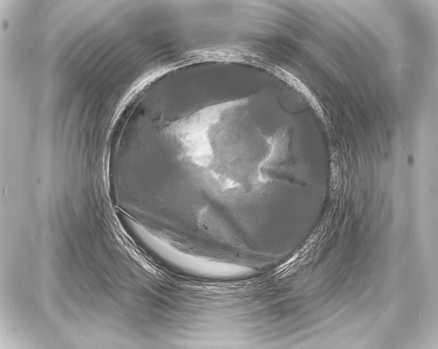 X0000087631035200705181455