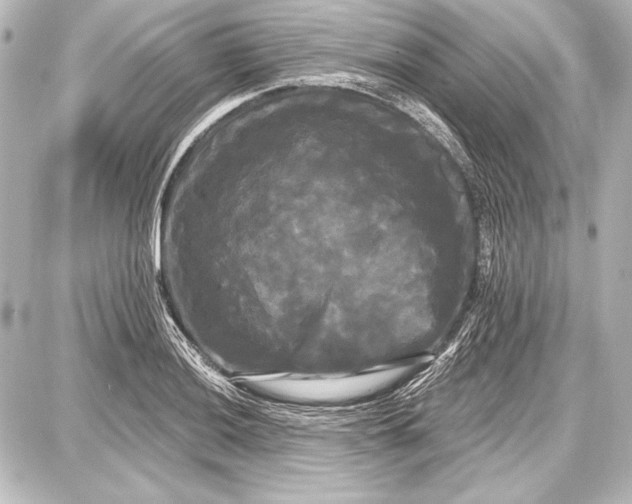 X0000087631036200705181455