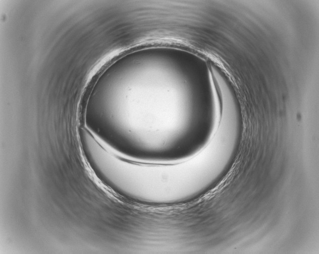 X0000087631038200705181455