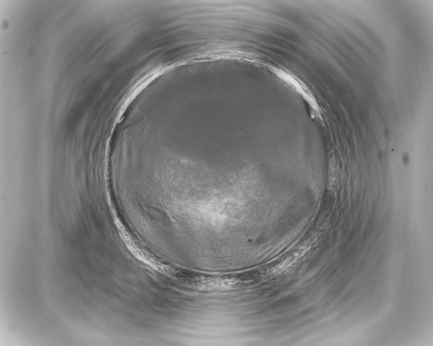 X0000087631039200705181455