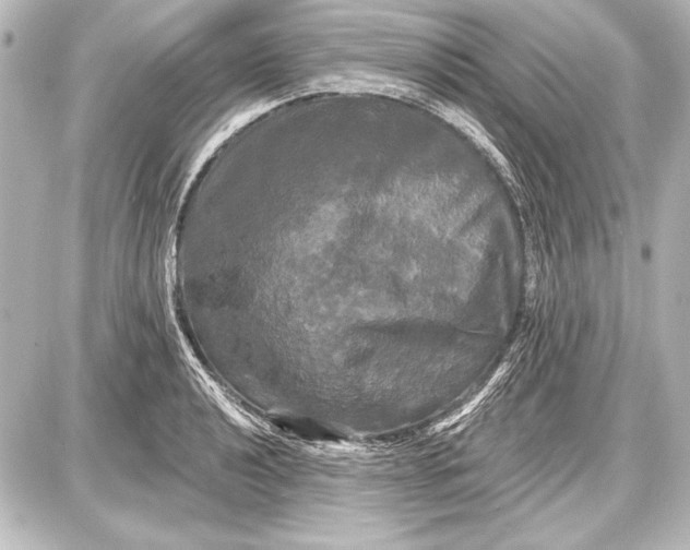 X0000087631040200705181455