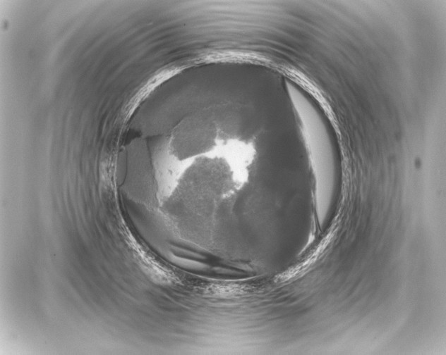 X0000087631041200705181455