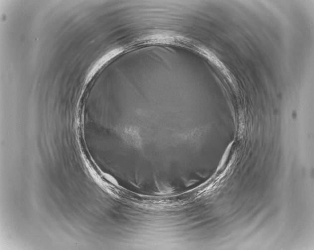 X0000087631042200705181455