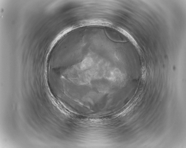 X0000087631043200705181455