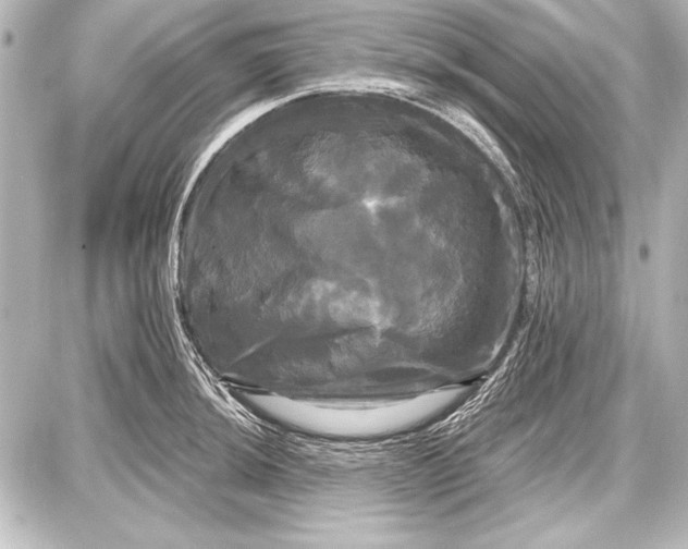 X0000087631044200705181455