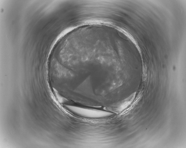 X0000087631045200705181455