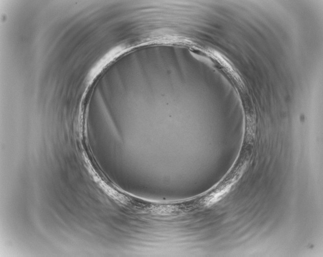 X0000087631046200705181455