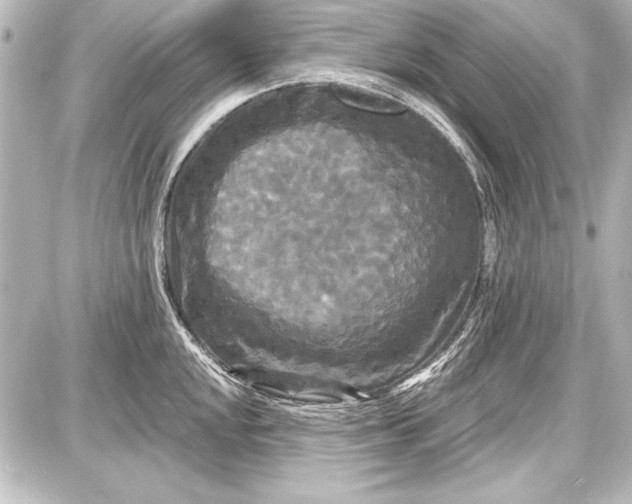 X0000087631048200705181455