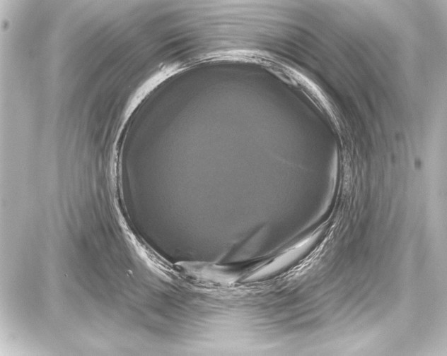 X0000087631050200705181455