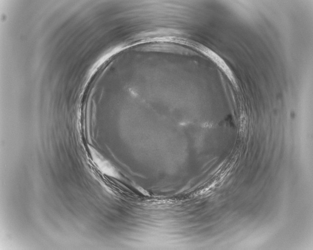 X0000087631051200705181455