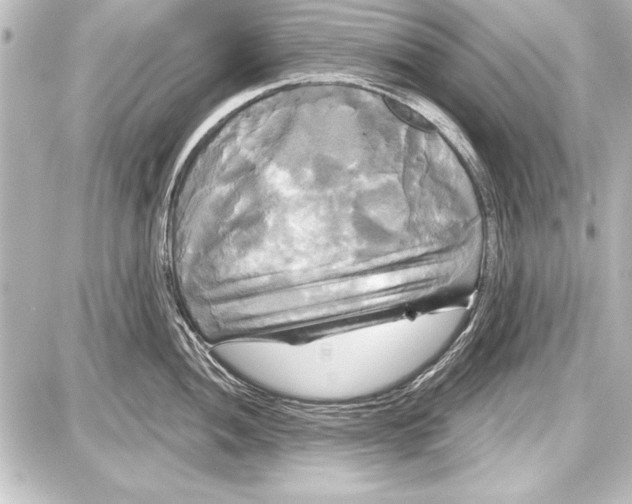 X0000087631052200705181455