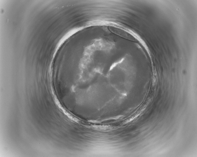 X0000087631053200705181455