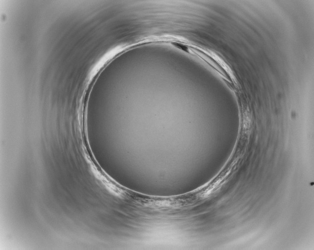 X0000087631054200705181455