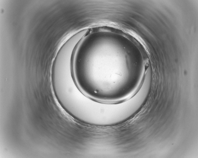 X0000087631055200705181455