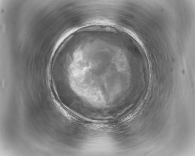 X0000087631056200705181455