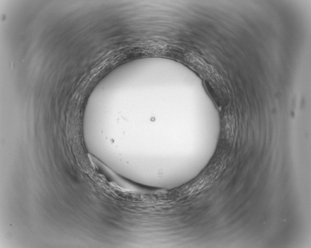 X0000087631057200705181455