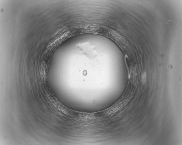 X0000087631058200705181455