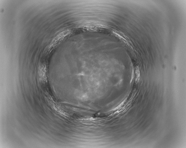 X0000087631060200705181455