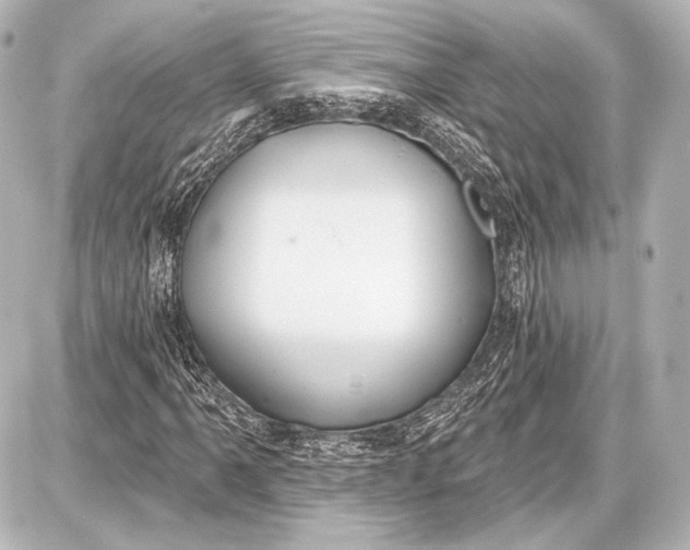 X0000087631061200705181455