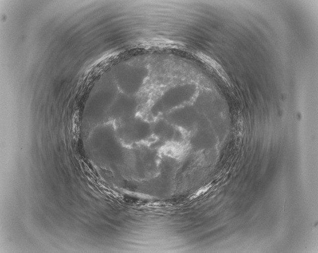 X0000087631063200705181455