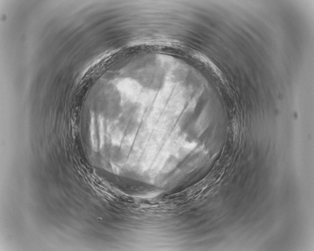 X0000087631064200705181455