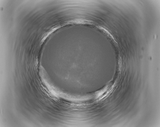 X0000087631065200705181455