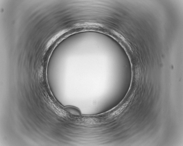 X0000087631066200705181455