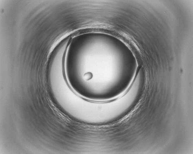 X0000087631069200705181455