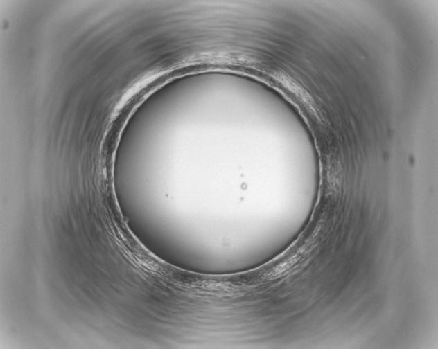 X0000087631070200705181455