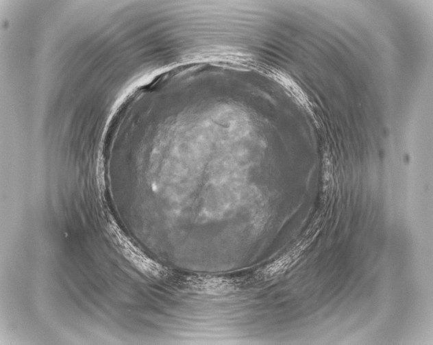 X0000087631072200705181454