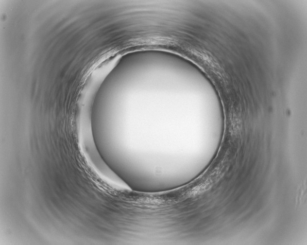 X0000087631073200705181454