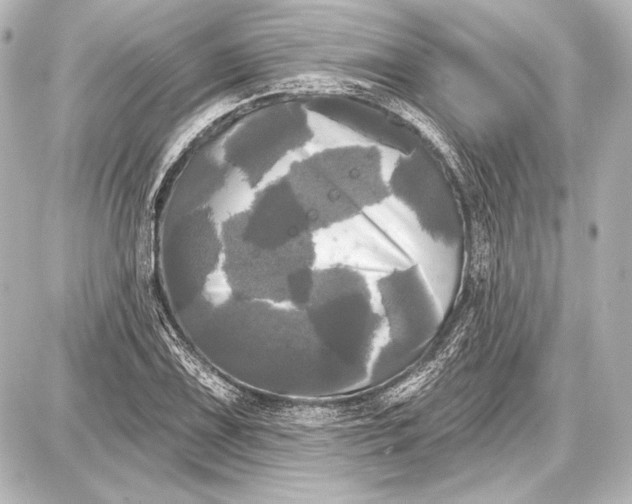 X0000087631075200705181454