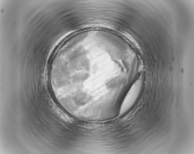 X0000087631076200705181454