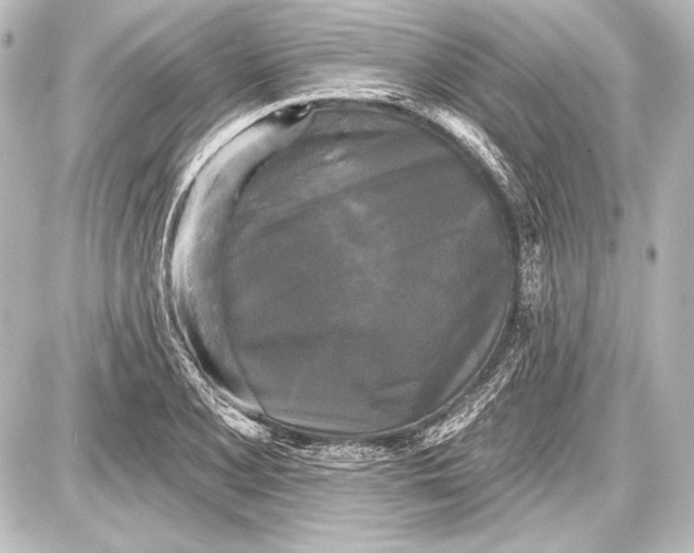 X0000087631077200705181454