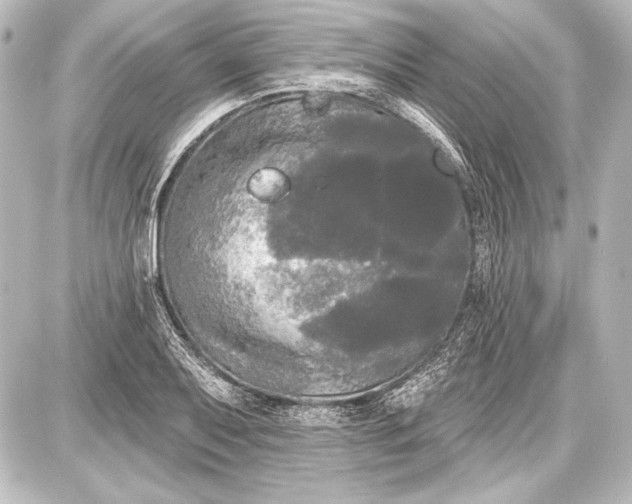 X0000087631079200705181454