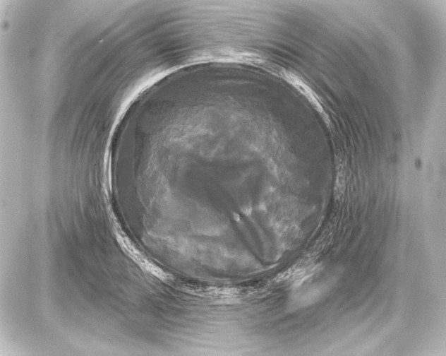 X0000087631080200705181454