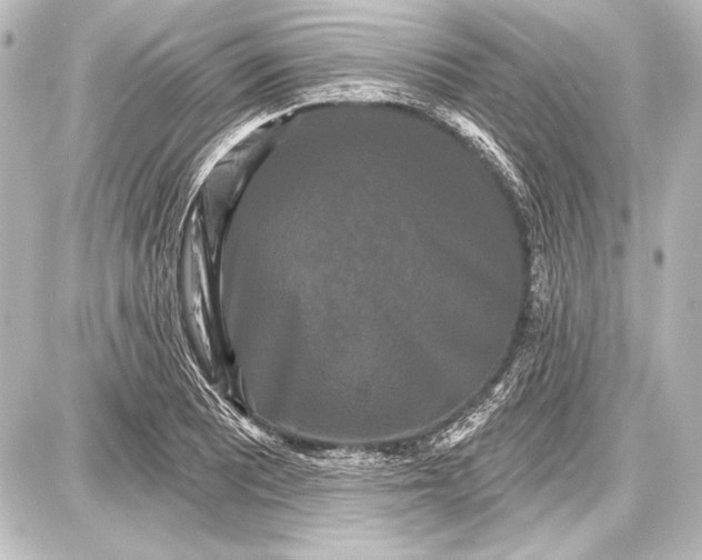 X0000087631081200705181454