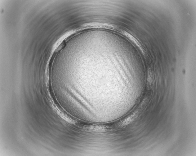 X0000087631082200705181454