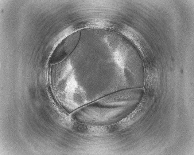 X0000087631083200705181454