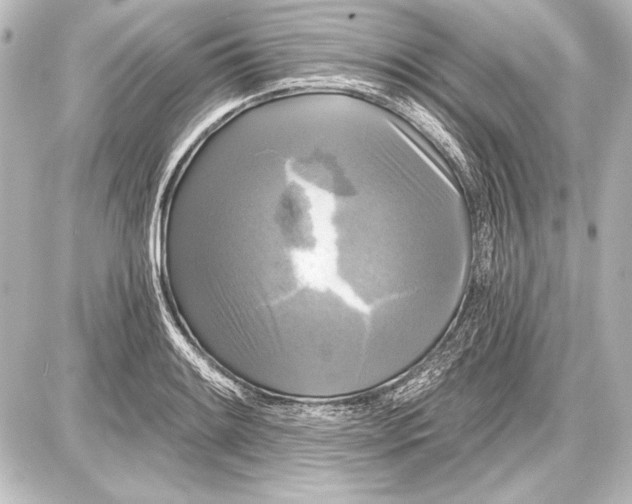 X0000087631084200705181454