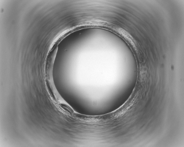 X0000087631085200705181454