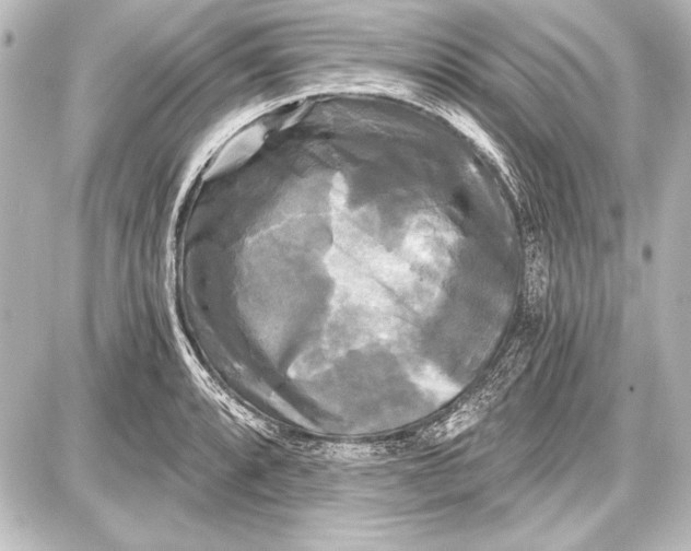 X0000087631088200705181454