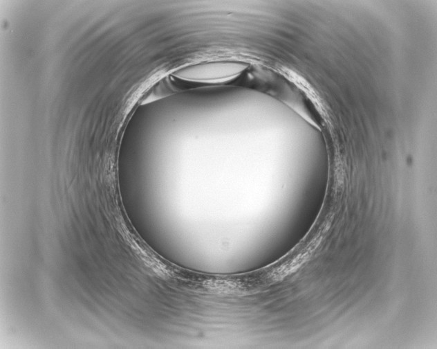 X0000087631089200705181454