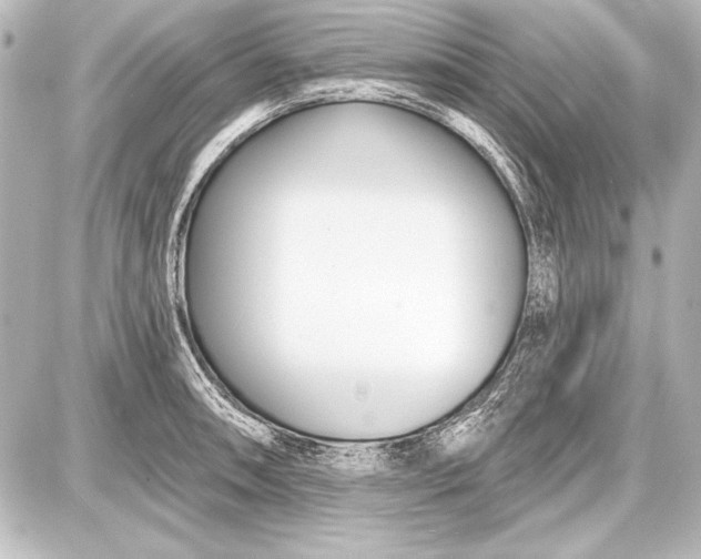 X0000087631090200705181454