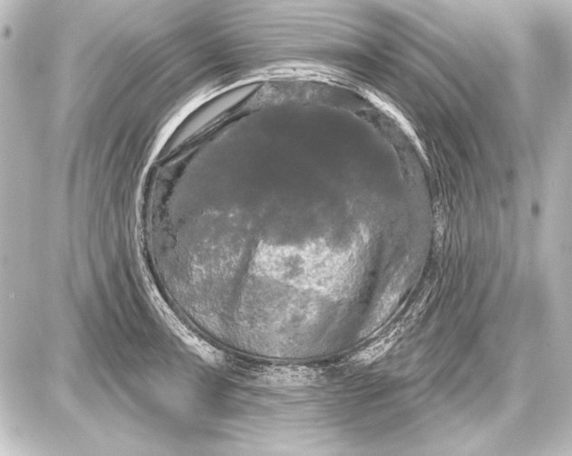 X0000087631091200705181454