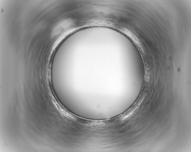 X0000087631094200705181454